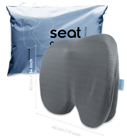 buy Klaudena Seat Cushion